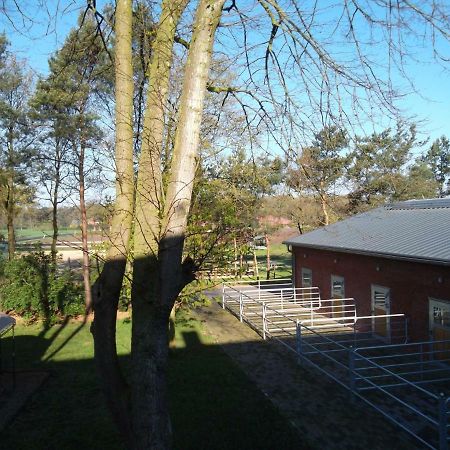 Ferienwohnung Friesenstall 黑德 外观 照片